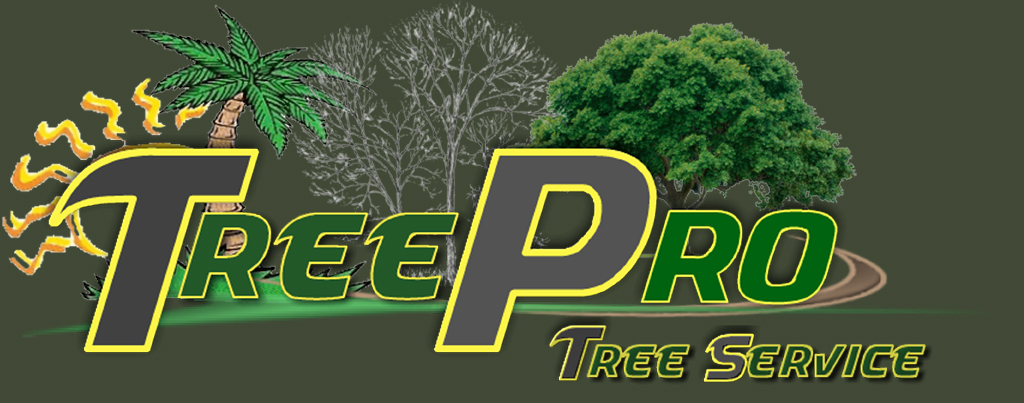 TreePro3